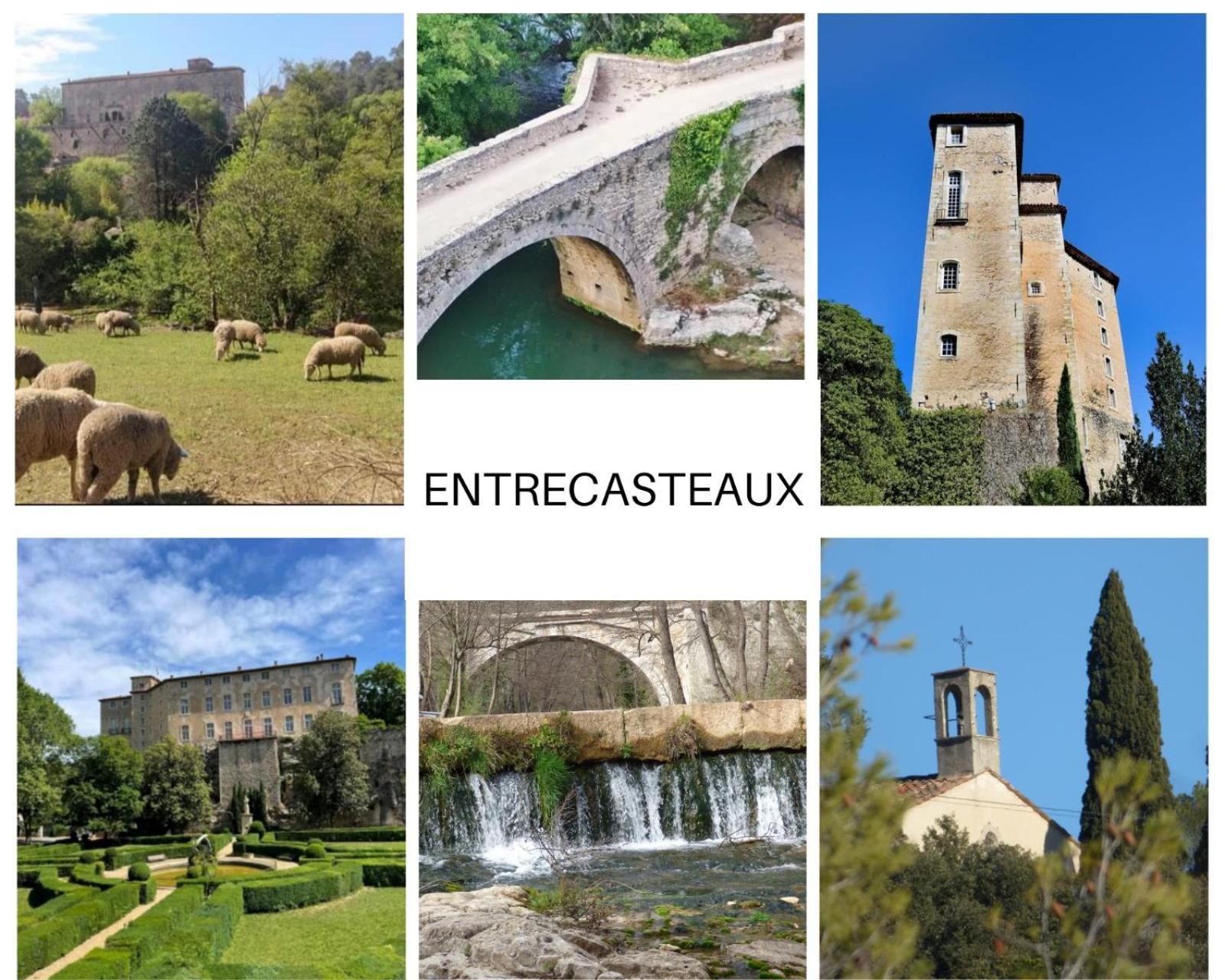 La Bergerie Des Colles Bed & Breakfast Entrecasteaux Luaran gambar